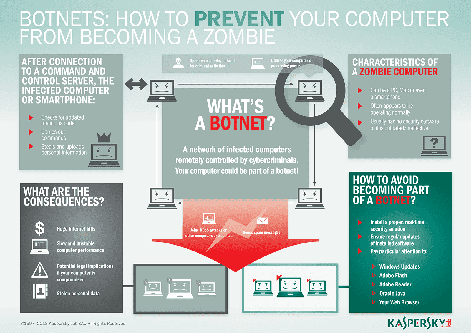 Kaspersky-Lab-Inforgaphic-Botnet.png